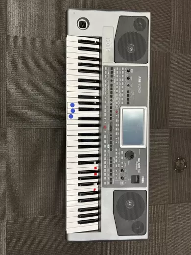 Korg - PA900